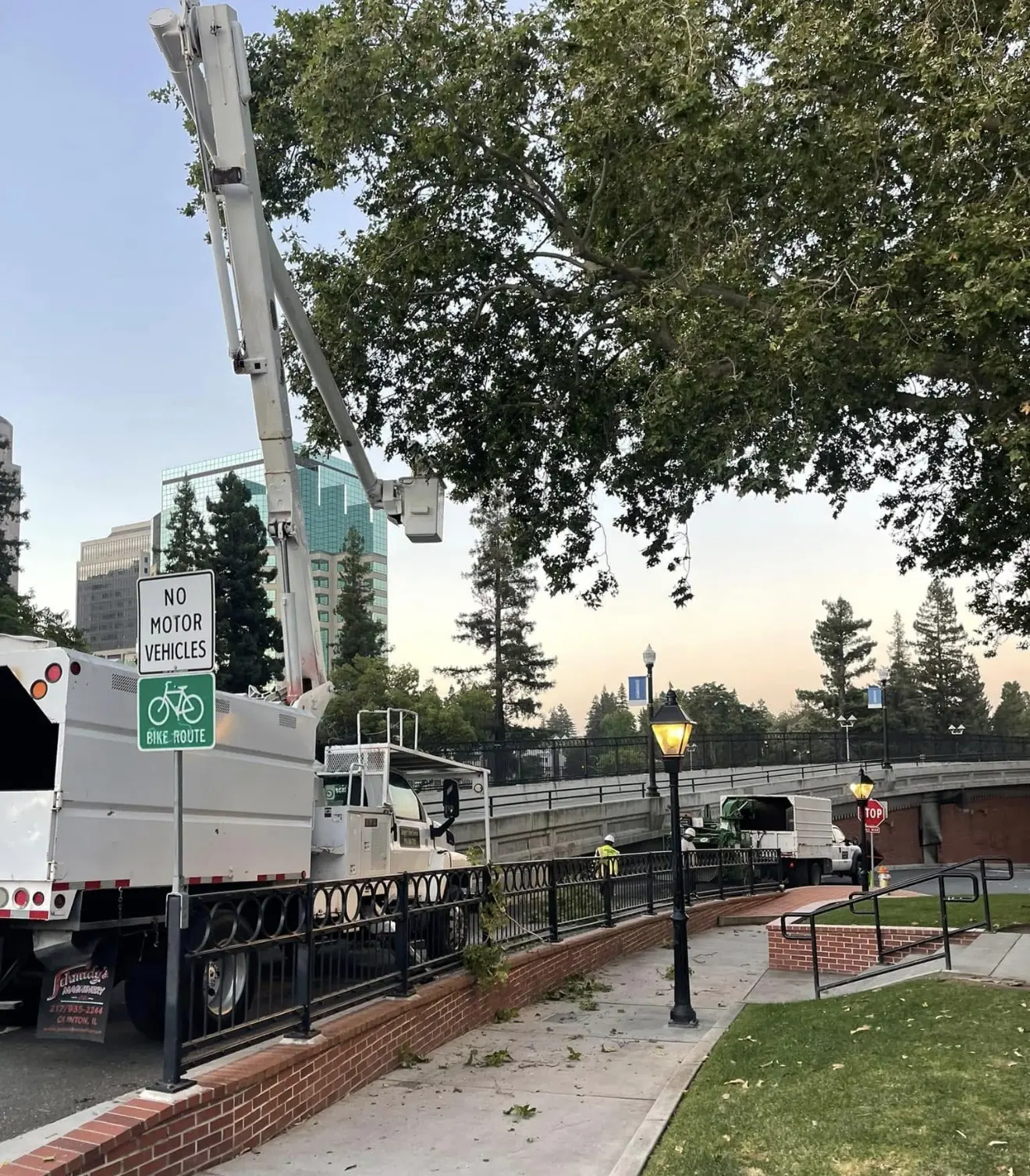 Bucket truck positioned beside a large street tree