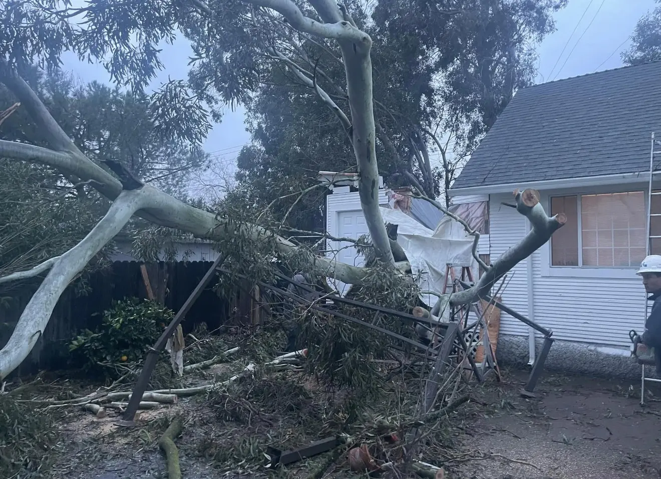 Storm-damaged tree and limbs surrounding a home