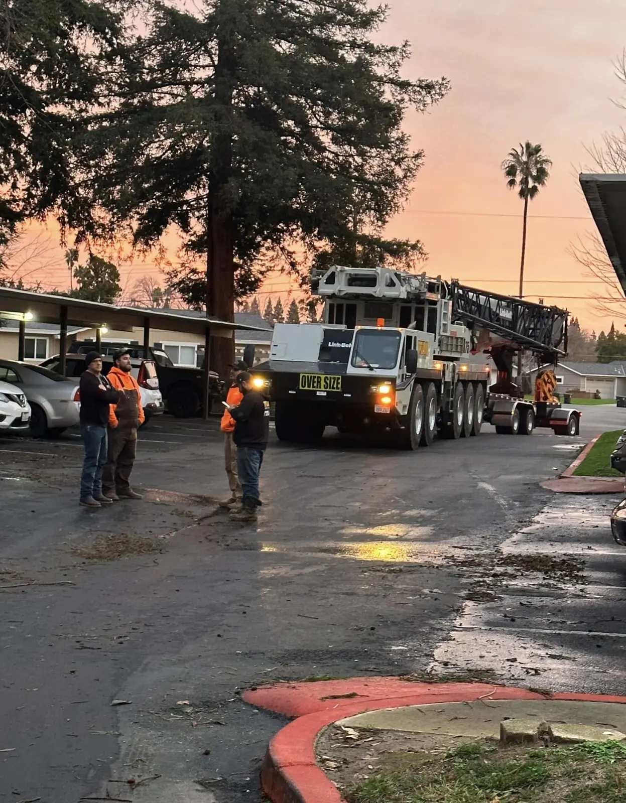 Tree-service crew and large equipment arriving at a job site