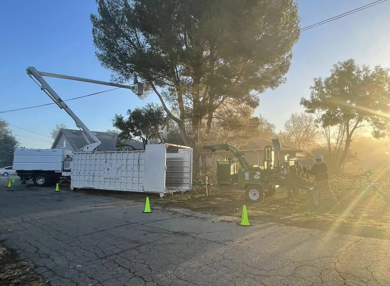 Bucket truck, chipper and crew working at golden hour