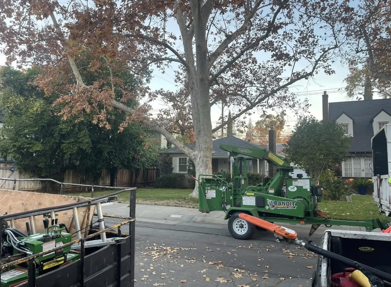 Green wood chipper and tree-service equipment beside a mature tree
