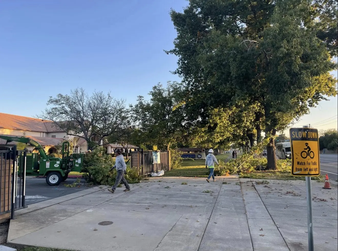 Crew clearing limbs from a residential driveway