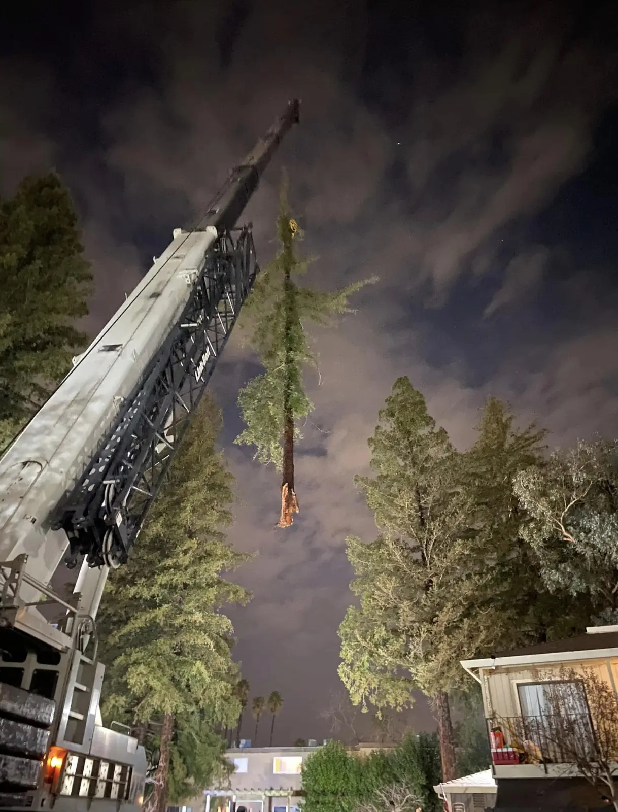 Nighttime emergency tree removal with crane support