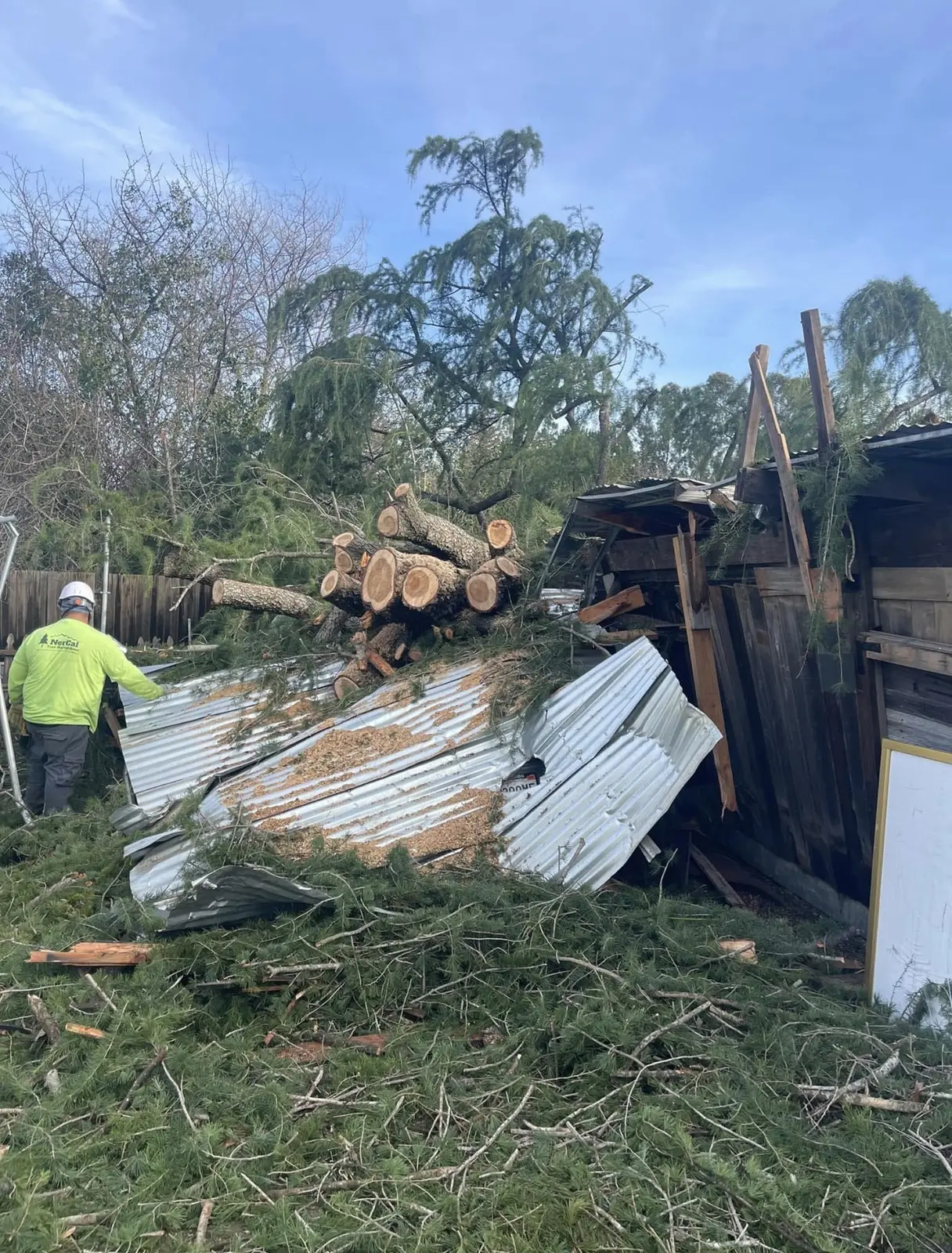 Crew clearing a fallen tree from damaged outbuildings