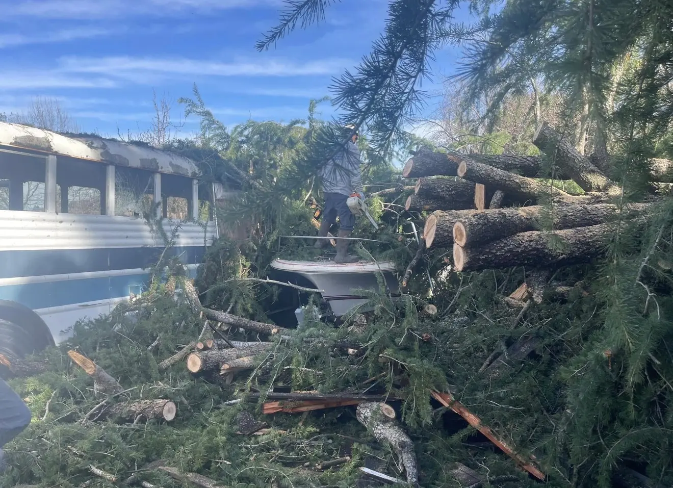 Tree debris surrounding a boat during emergency cleanup