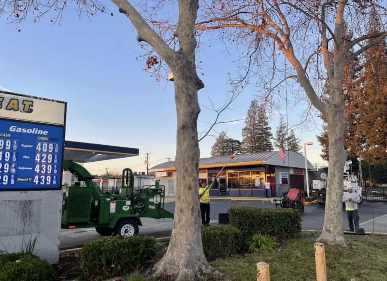 Jaeger's Tree Service crew trimming trees at a Jack in the Box commercial property