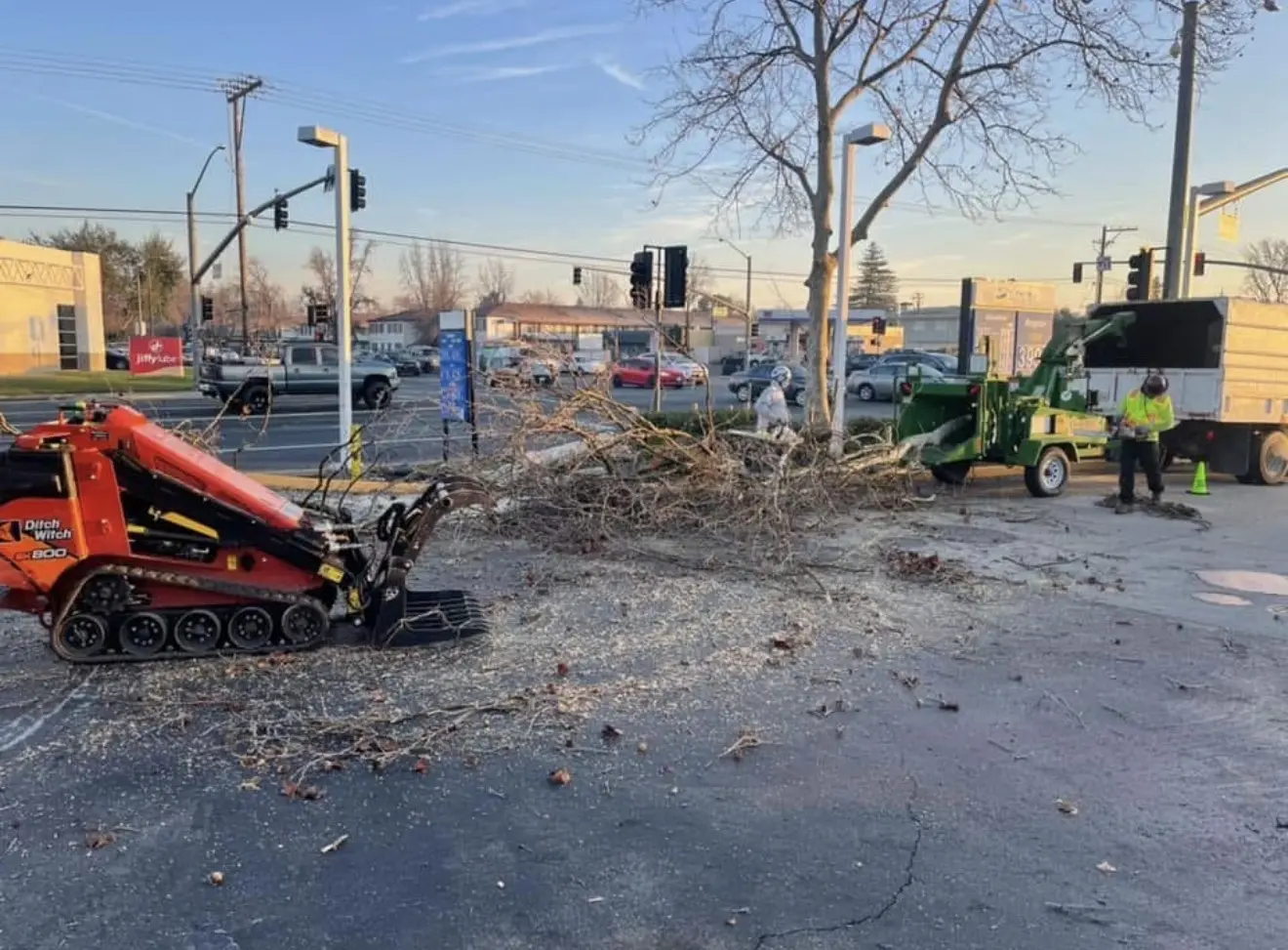Heavy equipment clearing tree debris at a commercial parking lot