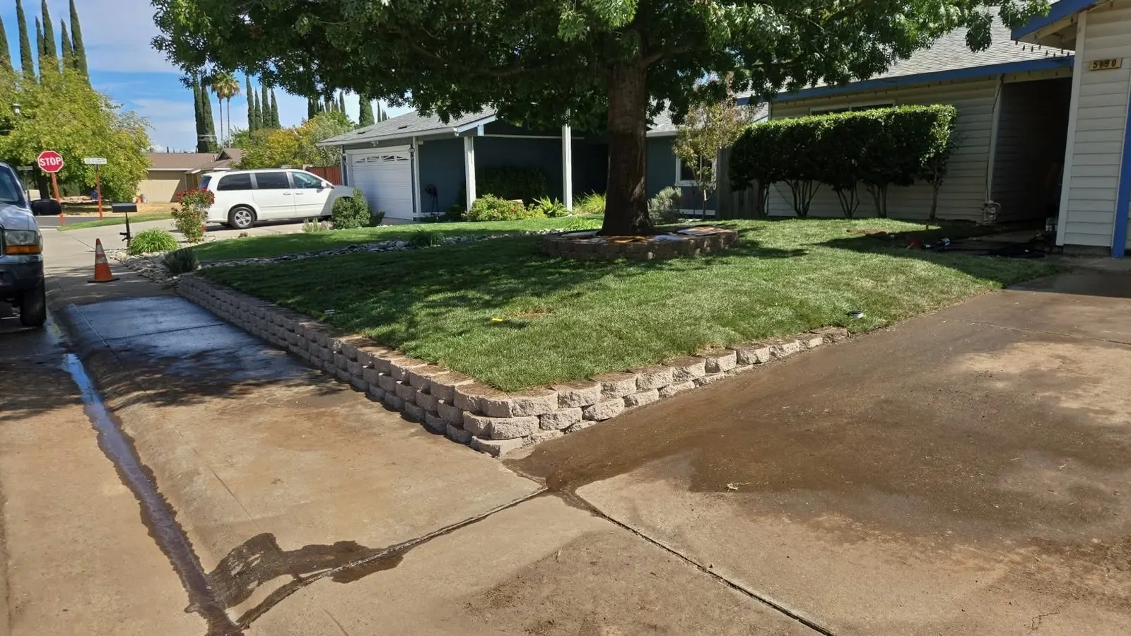 Leveled front yard with retaining wall, fresh sod, and a shade tree, ready for landscaping